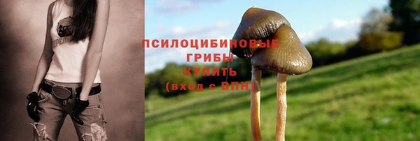 первитин Арсеньев