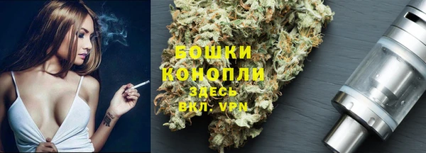 Альфа ПВП Аркадак